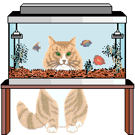 fatto acquario.gif